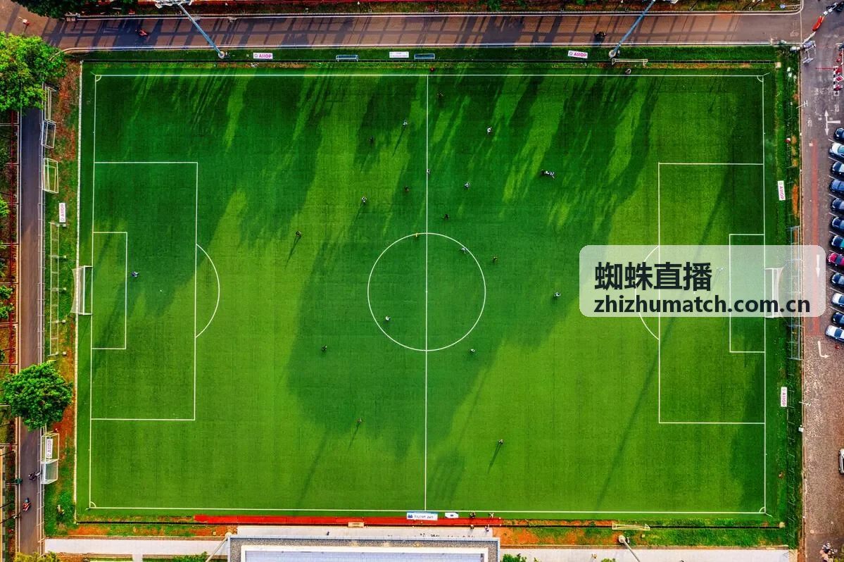 蜘蛛直播峰值时段直播信号稳定性监控示例